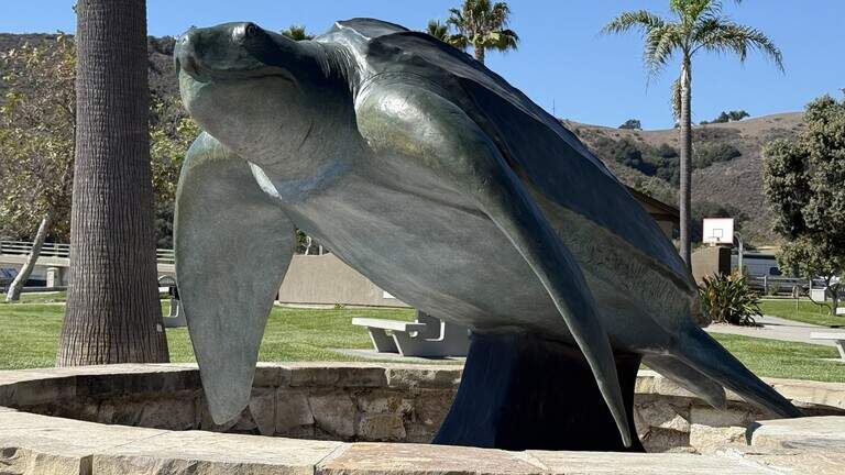 Sculpture of world’s largest sea turtle installed in SLO County. Here’s why