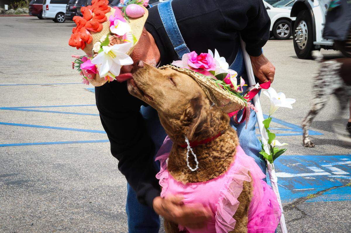 More than 200 dogs and their people turned out for the Cayucos Pup Parade on Saturday, April 16, 2020, decked out in their Easter Sunday best ahead of the holiday.