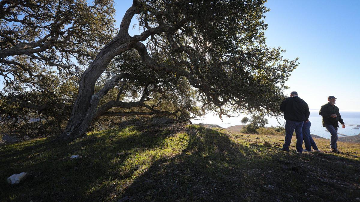 The 2,400-acre Wild Cherry Canyon property is located in the hills above Avila Beach and Port San Luis.