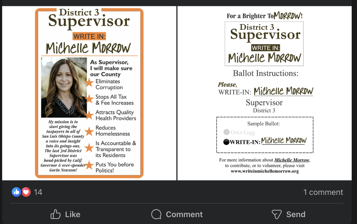 A supporter of Michelle Morrow’s campaign posted in the PRotect Paso Facebook group on Feb. 10, 2024. Morrow was a write-in candidate for District 3 supervisor and garnered 866 votes. She has been charged with voter fraud, perjury and filing false candidancy papers.