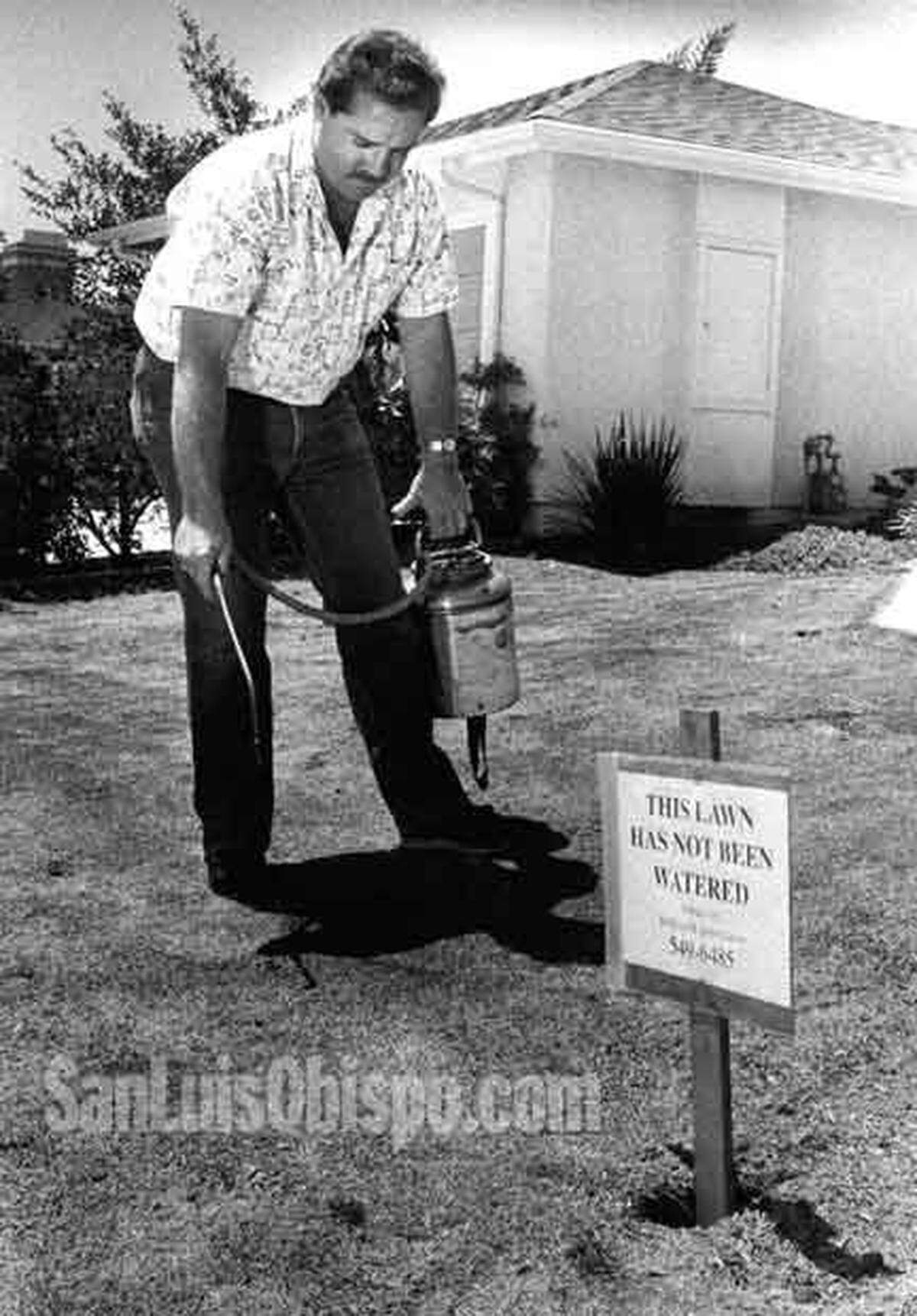 Rick Wilson doctors dead lawns with a non-toxic green dye concoction he developed in 1990.