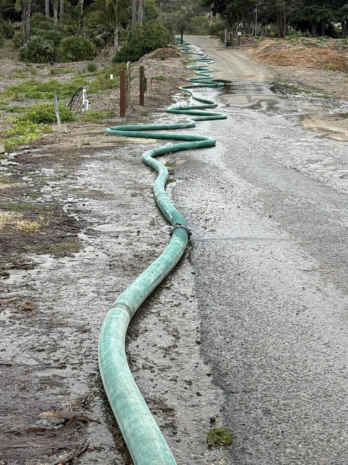 Firefighters responded to a greenhouse fire on Eucalyptus Road in Nipomo on June 16, 2026. They needed 2,400 feet of hose to reach a water source to fight the fire.