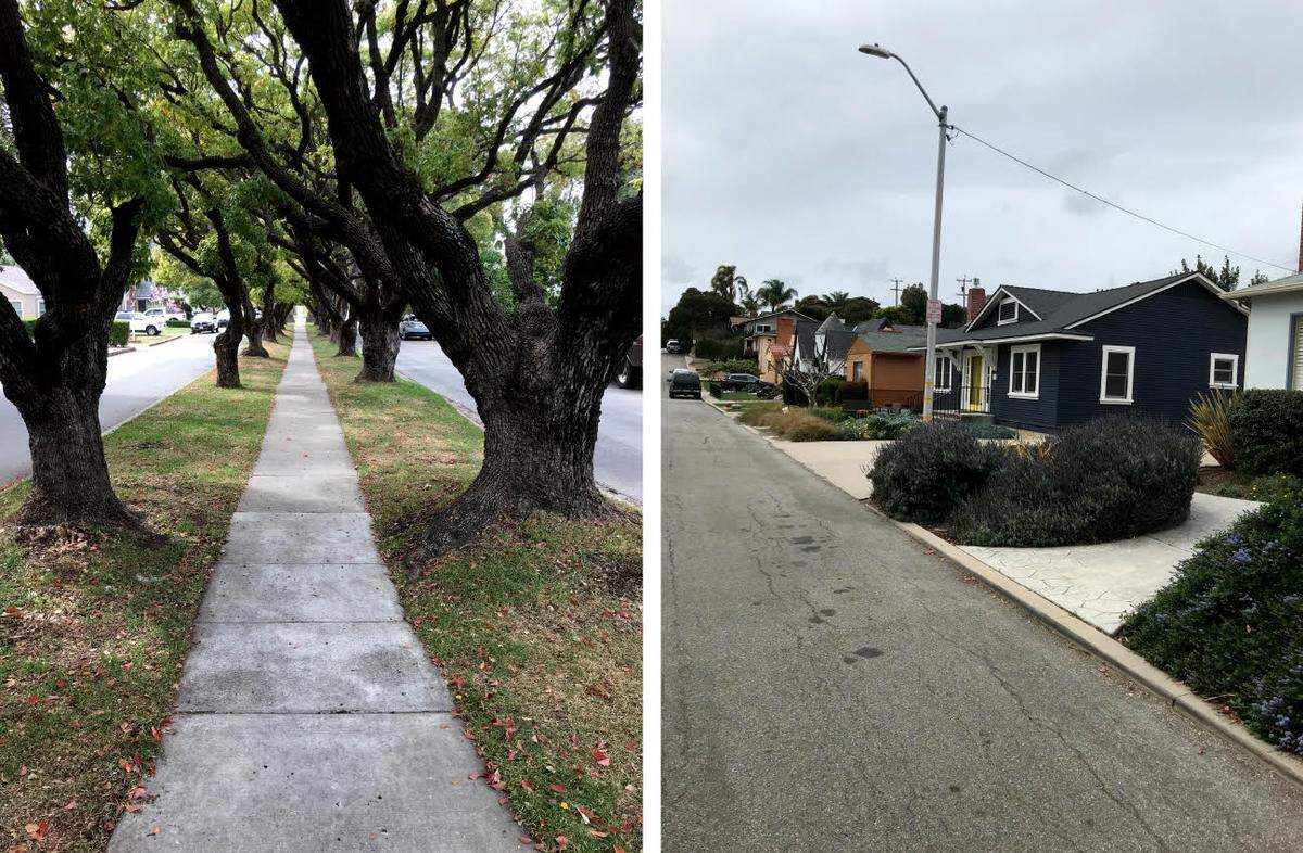 Two views of Murray Street in San Luis Obispo; a “tunnel of trees” in the center median and treeless strip in front of the houses.