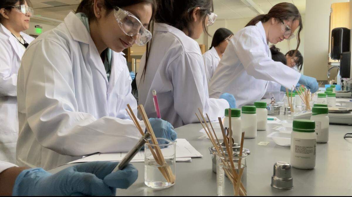 Upward Bound Summer Academy students working in a chemistry lab.