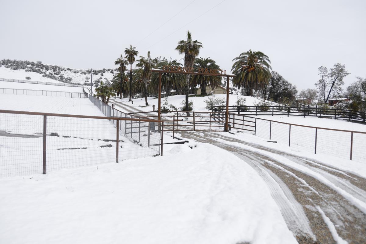 Fresh snow blankets the area around Webster Road outside of Creston on Feb. 25, 2023.