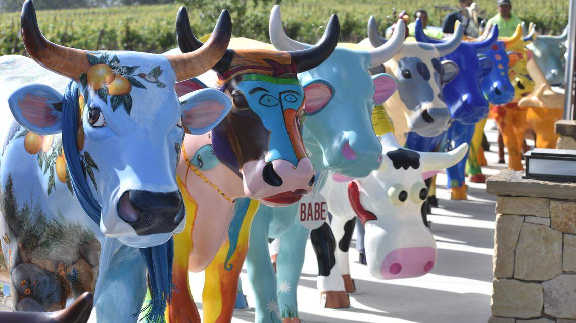 Why are there colorful cow statues in SLO County? The story behind moo-ving art