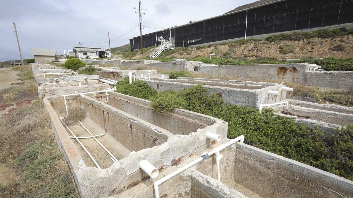 The abalone farm, seen here on May 26, 2026, closed six years ago. The Anderson Ranch and the abalone farm are for sale for $18 million, and yak tityu tityu yak tilhini Northern Chumash Tribe is fundraising to purchase it.