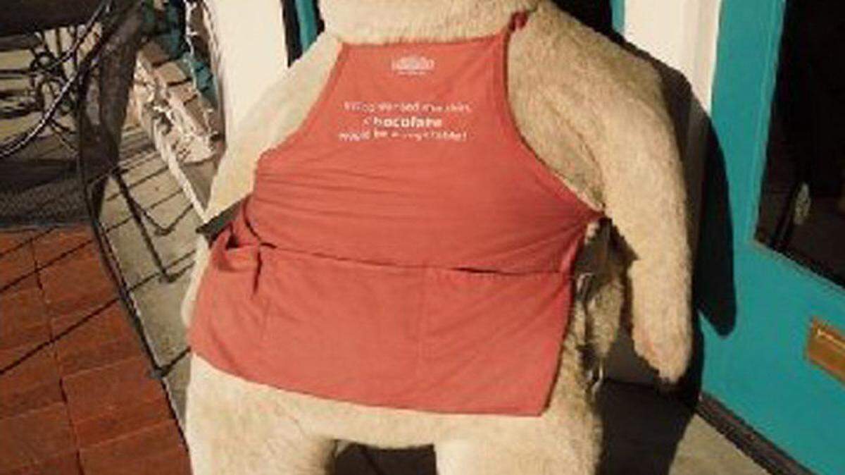 Truffles the bear was reported missing Wednesday from Rocky Mountain Chocolate Factory in Paso Robles.