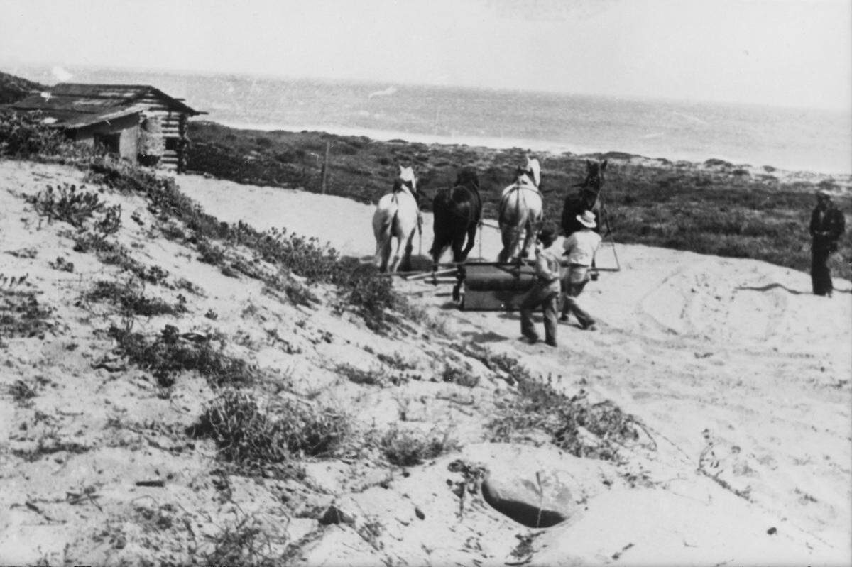Road building at Rincon Point around 1937 near a beachcomber shack.