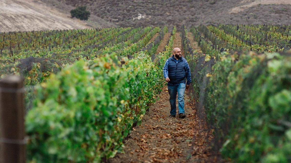 Rajat “Raj” Parr strolls through his new vineyard domain at Cambria’s Stolo Vineyards. The noted sommelier/author/grape grower/wine-club leader is now at the helm of the vineyard’s winemaking team. He’s taking the place of Stolo’s previous winemaker of 10 years, Nicole Pope.
