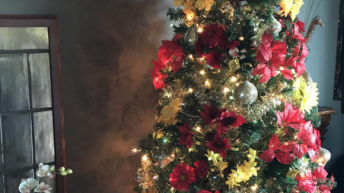 The Tanner family Christmas tree is decked out, Central Coast style.