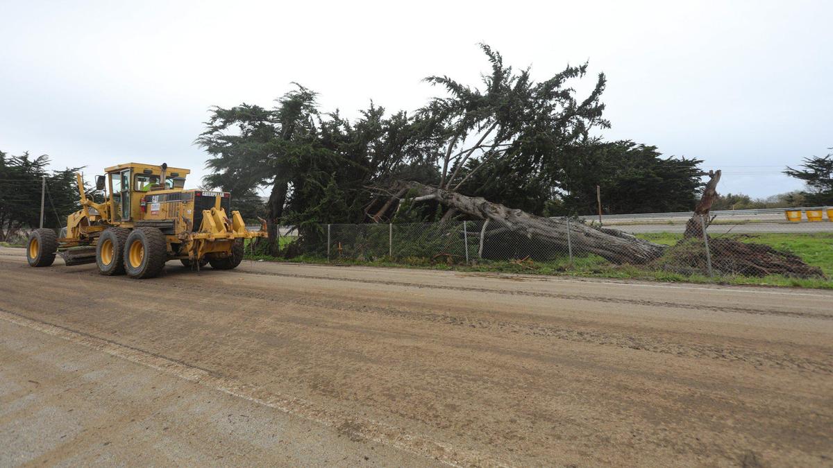 A grader passes by a downed cypress tree between Main St. and Highway 1 near Little Morro Creek in Morro Bay. The sun shines during a break in the storm track on Jan. 11, 2023 after a series of atmospheric river storms hit the coast.
