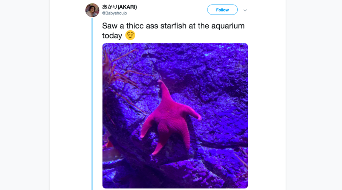 A photo of a vermillion sea star at the Aquarium of the Pacific in Long Beach has gone viral.
