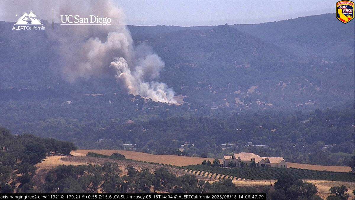 A vegetation fire broke out in Atascadero on Aug. 18, 2025, sending a plume of smoke into the air.