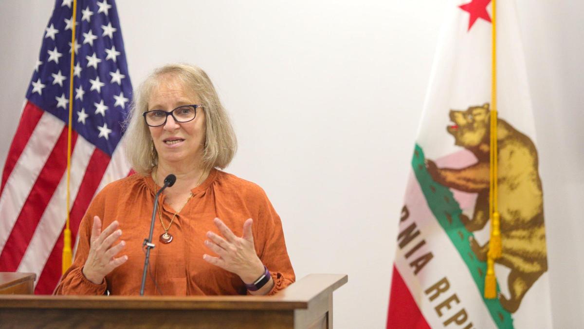 San Luis Obispo County public health officer Dr. Penny Borenstein speaks at a coronavirus news conference on Wednesday, July 22, 2020. 