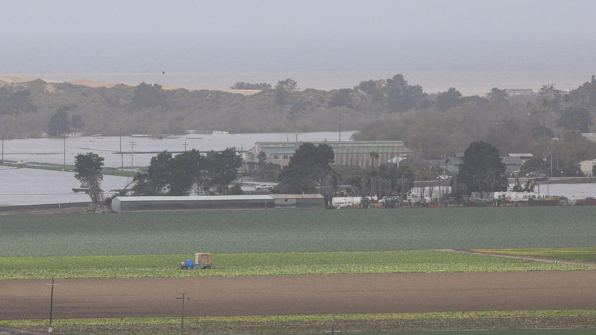 Farm fields south of Oceano flooded as Arroyo Grande Creek topped the levee on Jan. 9 and 10, 2023.