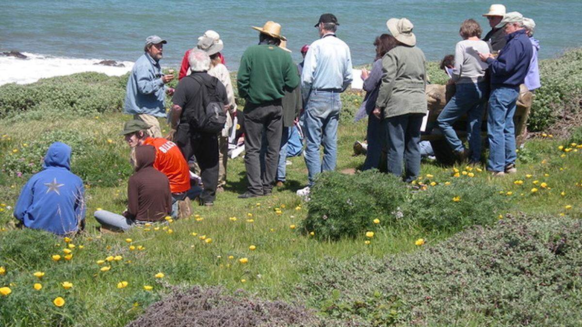Hikers enjoy rejuvenated flora from recent rains at the Fiscalini Ranch Preserve.