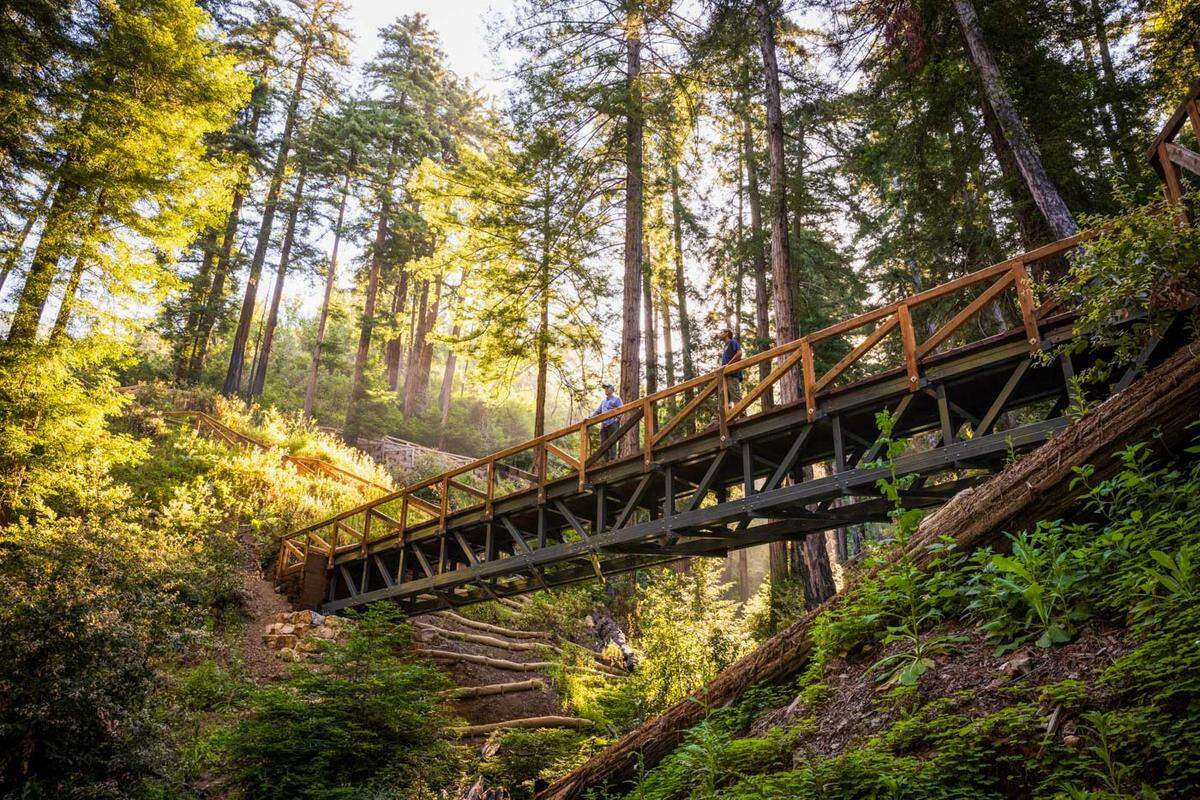 The Pfeiffer Falls Trail in California’s Pfeiffer Big Sur State Park will reopen June 18, 2021. Save the Redwoods League and California State Parks installed a 70-foot pedestrian bridge that spans the Pfeiffer Redwood Creek ravine.