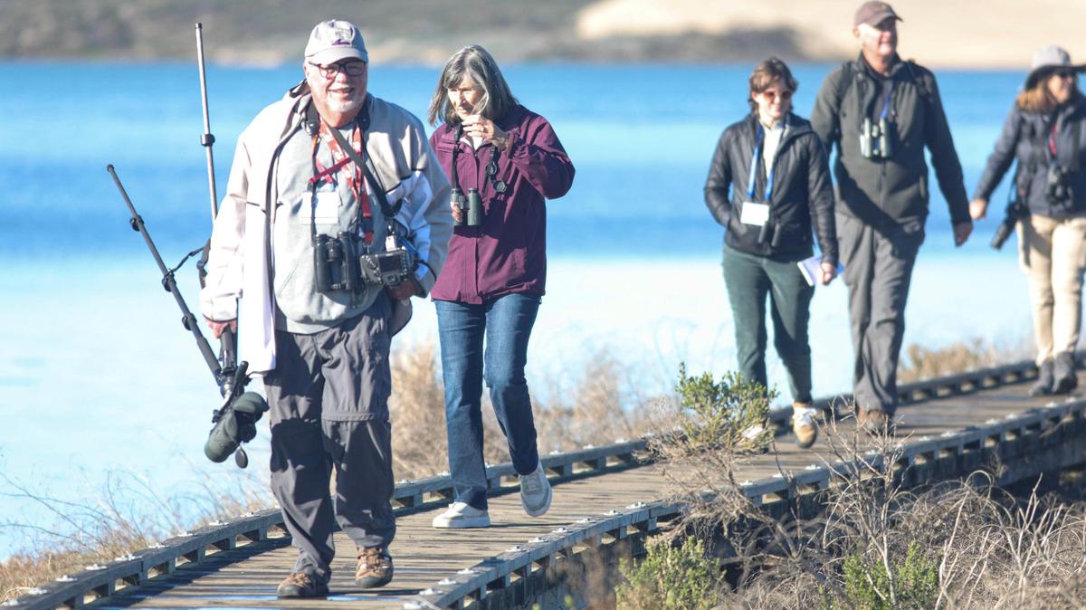 Jon Dunn leads a group of birdwatchers on Jan. 11 at the Morro Bay estuary during the Morro Bay Bird Festival. Dunn is a chief consultant for all five editions of the National Geographic Field Guide to the Birds of North America.