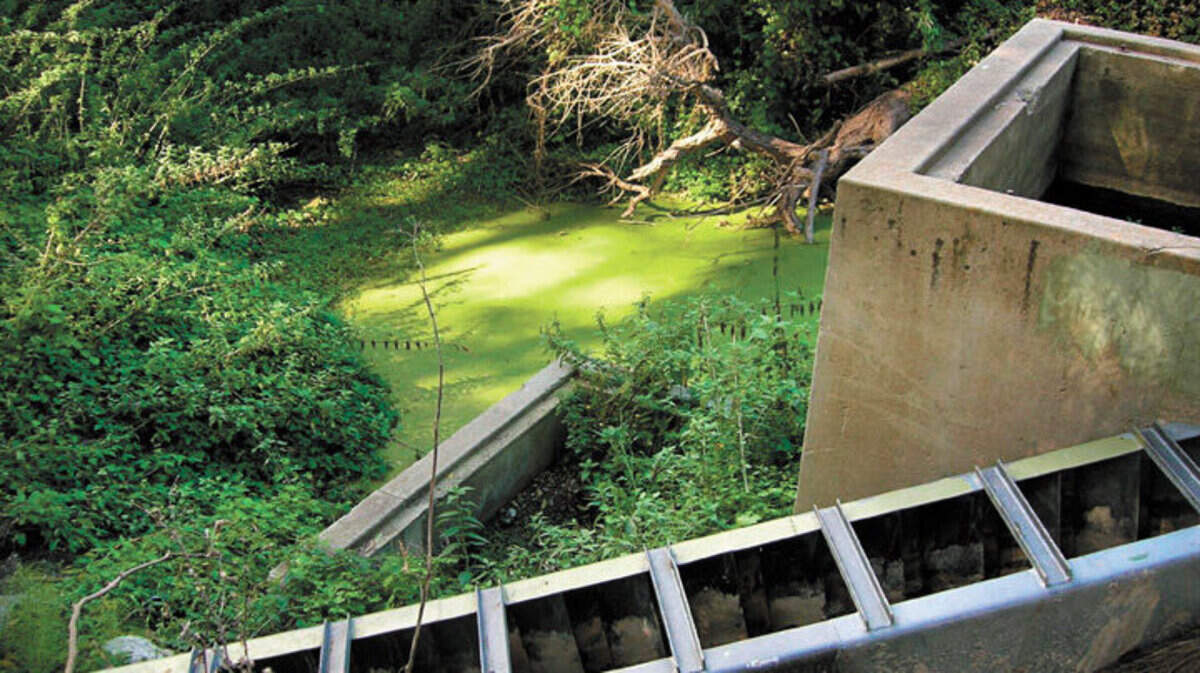 The fish ladder on Pismo Creek when the creek is low.