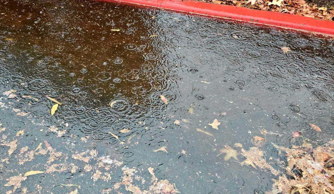 Rain splatters a puddle filled with fallen leaves on Los Osos Valley Road in San Luis Obispo early Thursday morning on Dec. 12, 2024.
