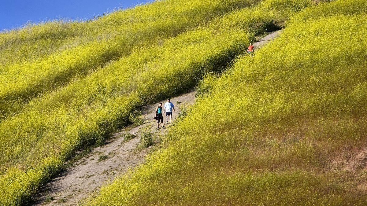 Hikers make their way along a steep section of Ontario Ridge Trail near Pirates Cove in April 2013.