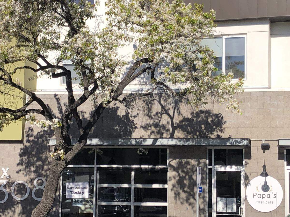 Papa’s Thai Cafe opened in in San Luis Obispo in 2020.