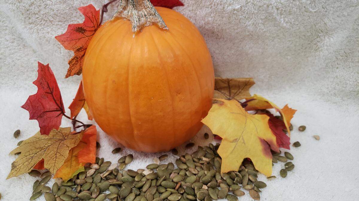 Las calabazas y las semillas de calabaza proporcionan muchos nutrientes excelentes. Pueden mejorar la visión, el sistema inmune y las semillas también pueden ayudar a conciliar el sueño.