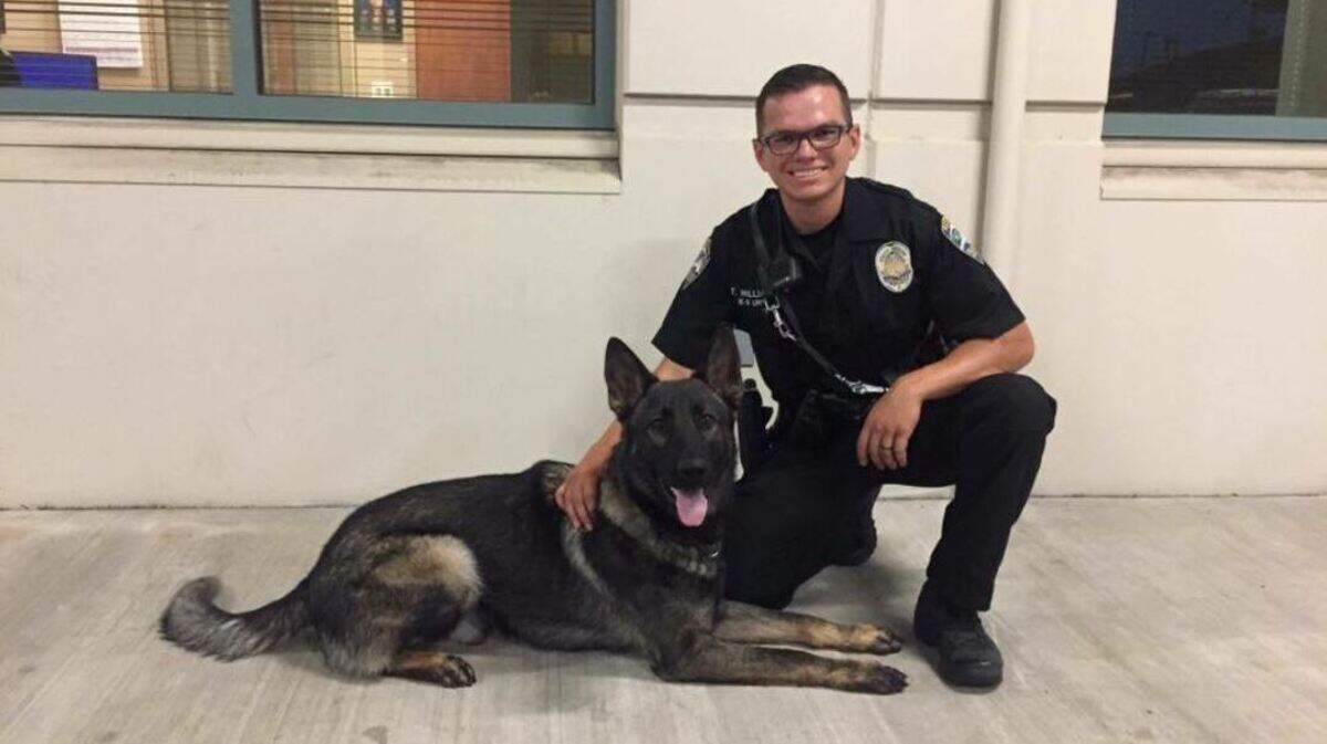A photo of Otto the police canine with Ofcr. Travis Williams in 2017. Police said Otto and an unidentified officer were assaulted by 34-year-old Ernak Altankov on Monday.