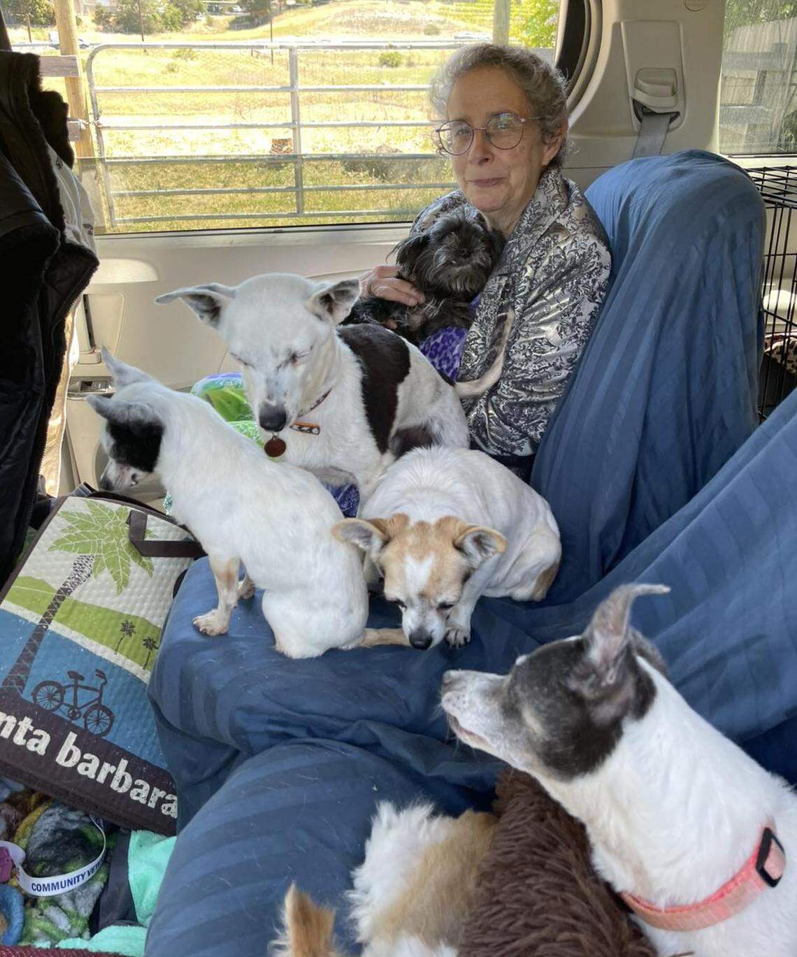 Rachel Somars, 69, was hit and killed while crossing the southbound Highway 101 entrance at San Anselmo Road in Atascadero on Dec 1, 2025. She was the volunteer manager of the Meade Canine Rescue Resale Shop.
