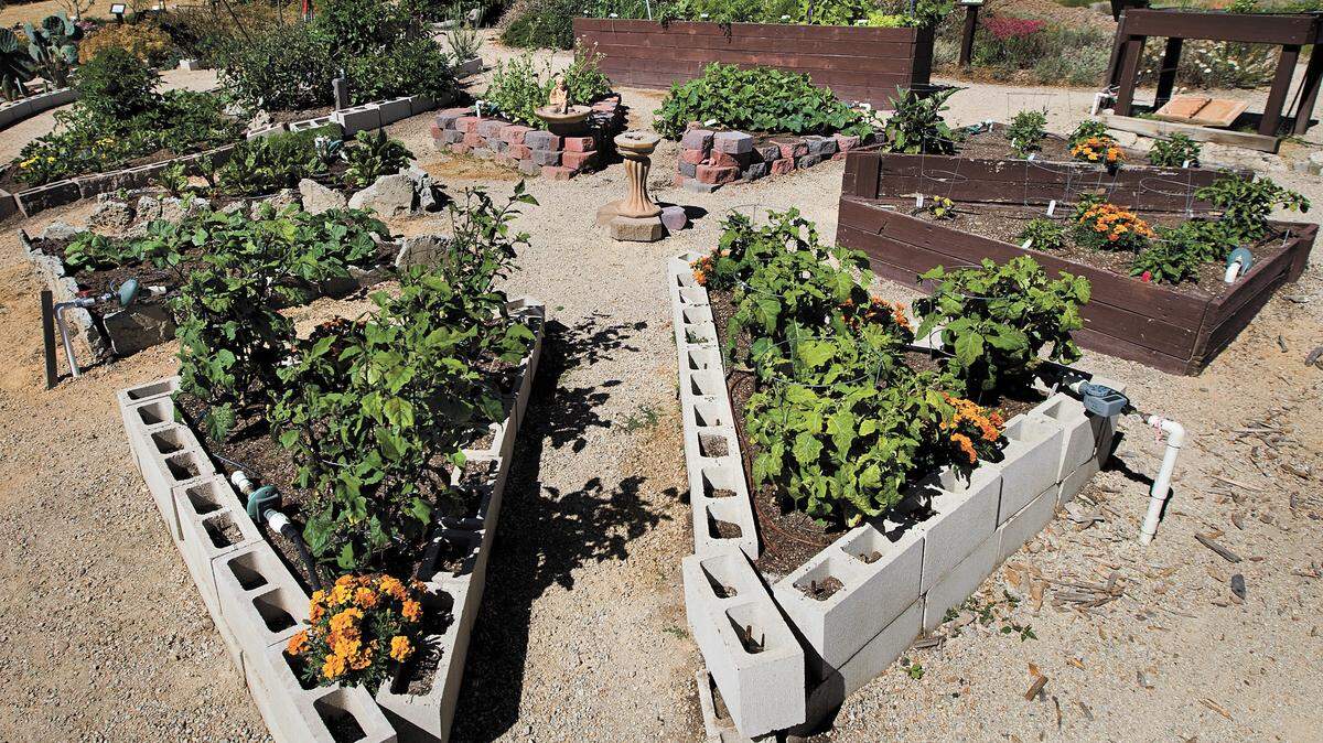 A triangular concrete block raised bed with eggplants and marigolds is one of the ideas presented in the kitchen garden.