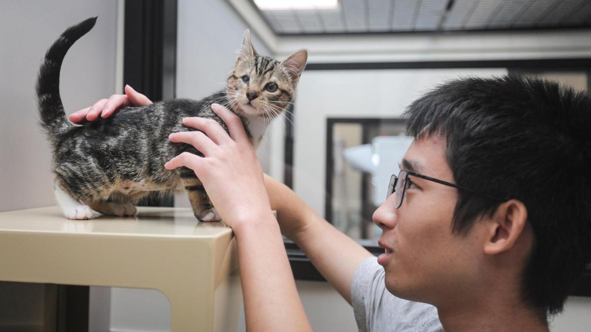 Peter Chung fills out papers to adopt Kelly the cat at Woods Humane Society on Feb. 14, 2025.