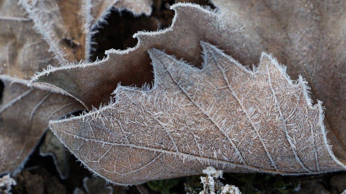 Frost advisory issued for parts of SLO County as temperatures dip