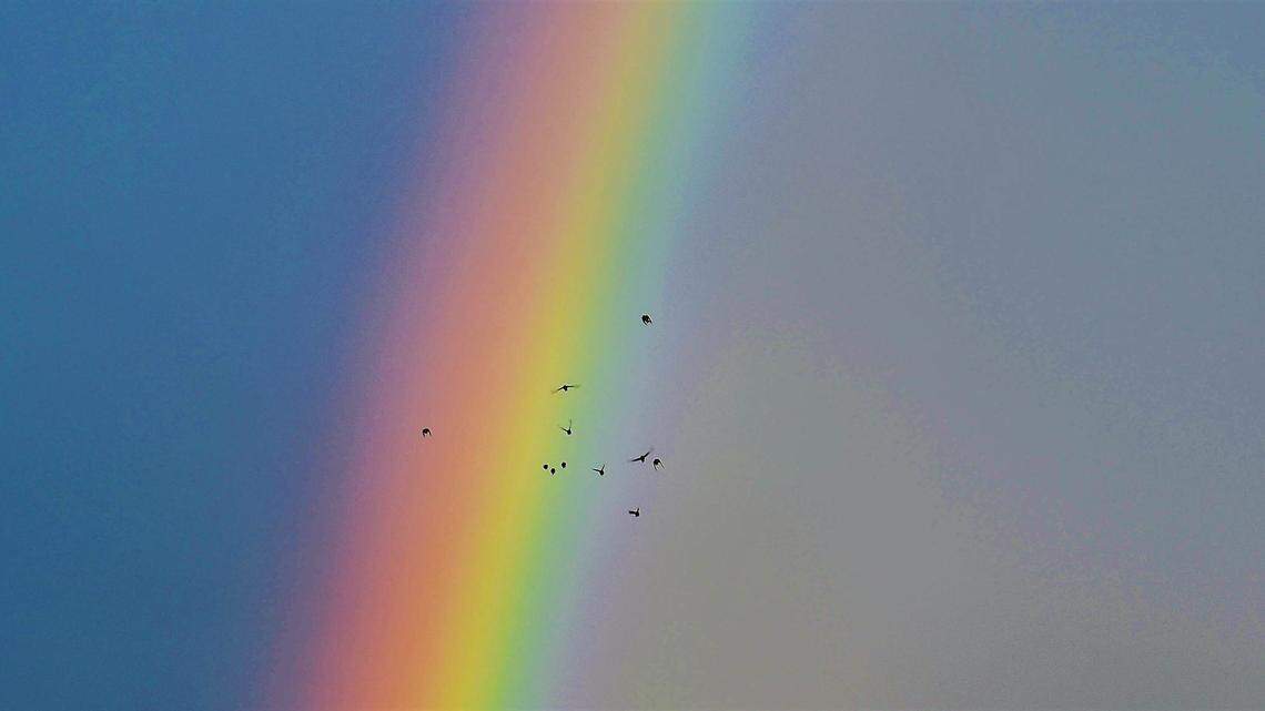 With few ‘gully washers’ or major flooding, the Central Coast rain season has been ideal