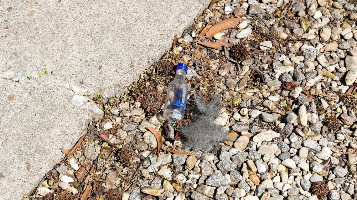 St. Fratty’s Day partiers caused serious damage to roofs, gutters, furniture, fences and landscaping while leaving trash in the neighborhood around Hathway Avenue in San Luis Obispo, seen here on March 18, 2024. As many as 6,000 to 7,000 people attended the weekend party.