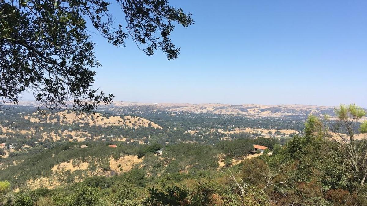 Take a plant identification walk at Three Bridges Oak Preserve in Atascadero.