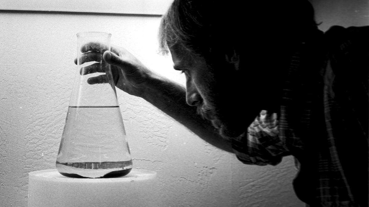 Marine biologist Art Haseltine checks on a colony of “juvenile” Pismo clams who make their home in a beaker. The clams are about the size of a 1/4-carat diamond chip. Photographed on June 15, 1981.