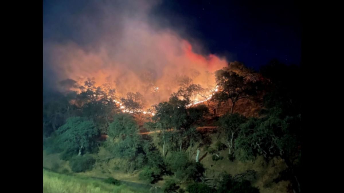 Paso Robles Fire and Emergency Services responded to reports of a vegetation fire on Tuesday, July 4, 2023, that may have been caused by illegal fireworks.