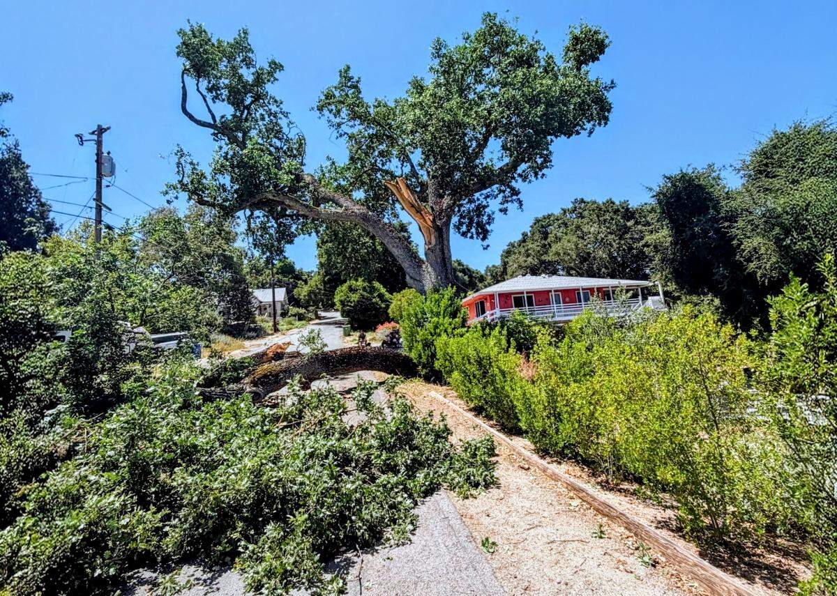 A large tree limb blocked part of Lincoln Avenue in Templeton on Sunday, May 17, 2026, after falling across the roadway and bringing down power lines, according to Templeton Fire & Emergency Services.