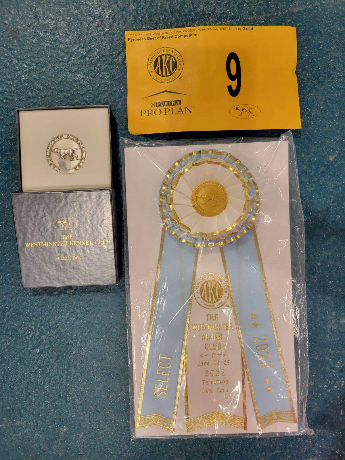 EJ, a Great Pyrenees from Arroyo Grande, won Select Dog at the Westminster Kennel Club Dog Show in June 2022 and received a ribbon and medallion in recognition.