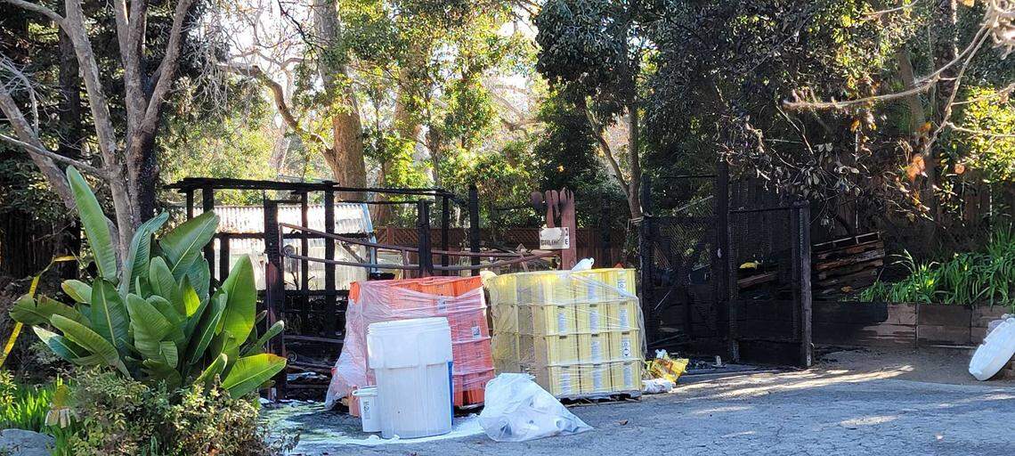 A fire destroyed a storage shed at Sycamore Mineral Springs Resort & Spa early Thursday morning, causing damage to the pool area and a hazardous chemical leak.