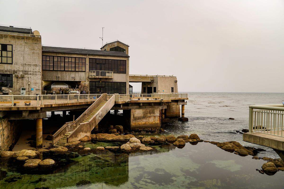 An overcast day at the Monterey Bay Aquarium, looking out over the Great Tide Pool on Thursday, Aug. 20.