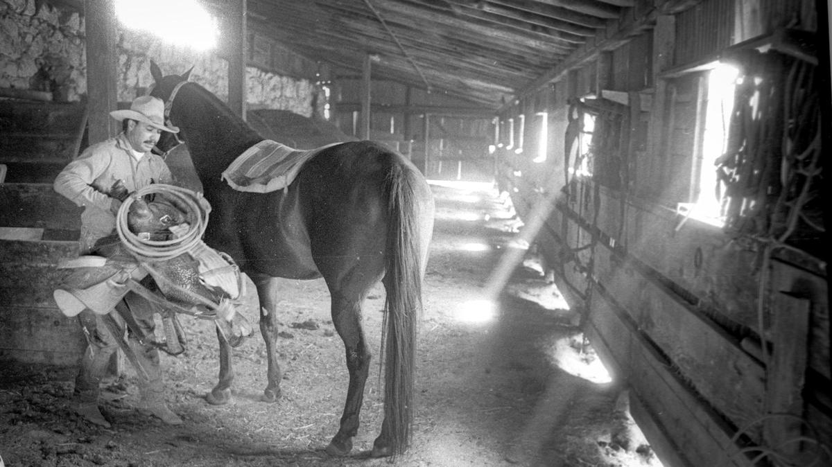 Santa Margarita Ranch foreman Tony Ortega saddles up in a barn that now covers the “lost mission” that was built in the late 1700s. The photo taken on Sept. 8, 1991.