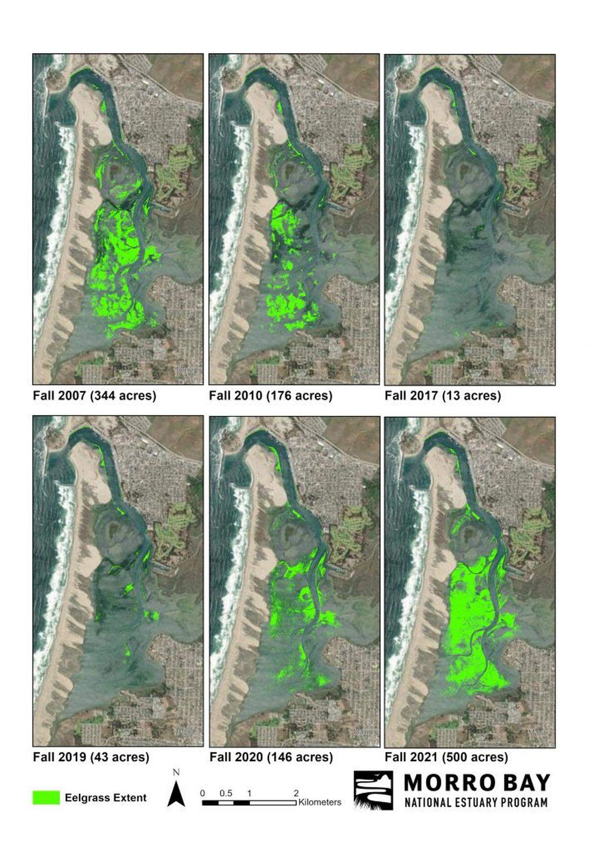 This graphic shows how eelgrass acreage in the Morro Bay estuary has changed since 2007. After declining severely over a 10-year period, eelgrass has rebounded and is once again present across the estuary.