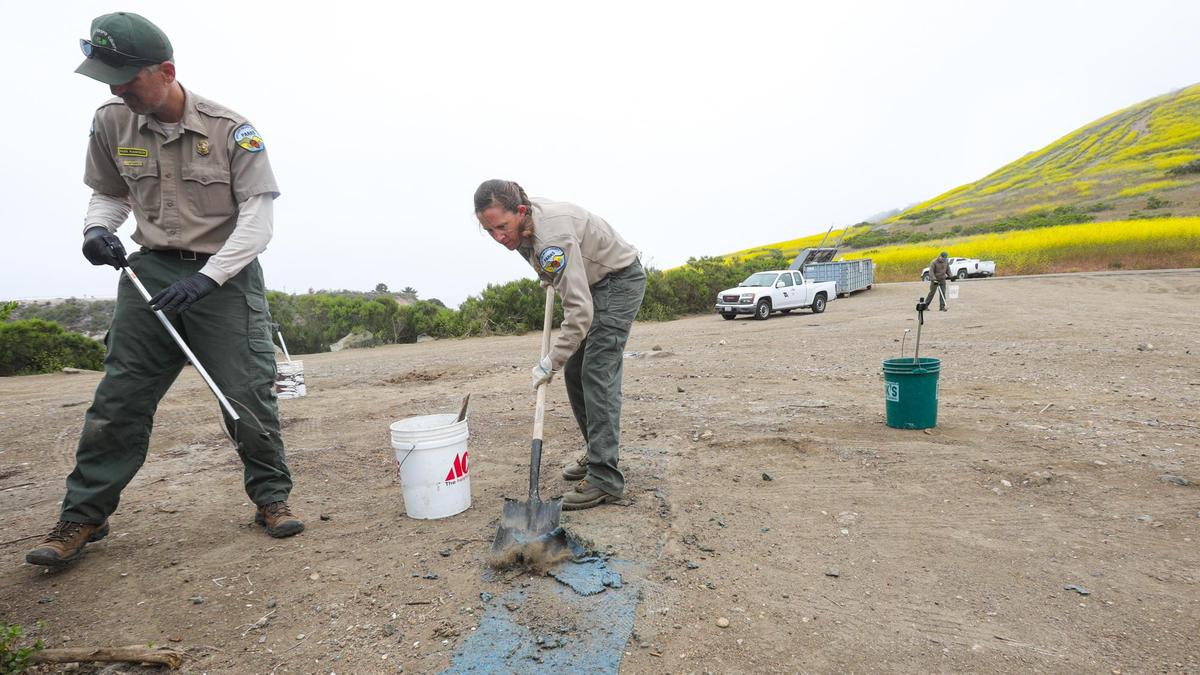 San Luis Obispo County park rangers Tim Faes, left, and Kali Beard remove carpet padding left in the dirt at Cave Landing. One dumpster was filled and another with the way as workers hauled out trash left behind after people camping out in the Pirate’s Cove parking lot were relocated.