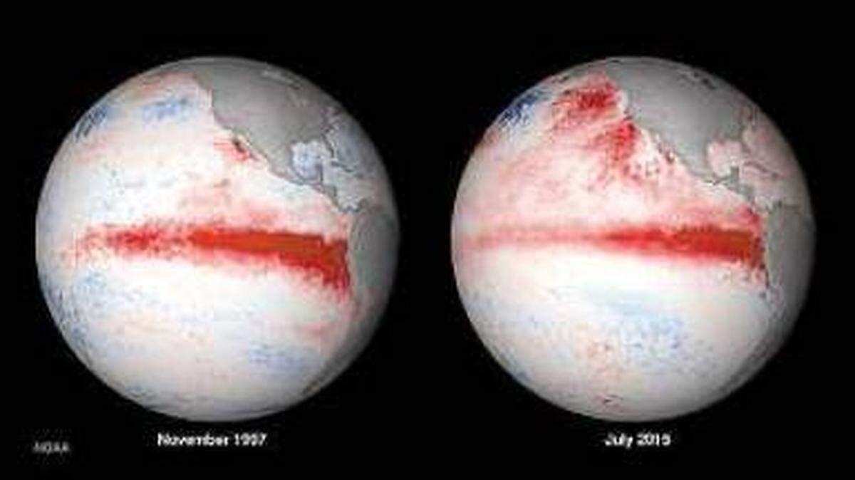 This weather graphic from the National Oceanic and Atmospheric Administration depicts the sea surface temperature difference between 1997-98, left, and more recently. The warm (red) blob of water off the Pacific Northwest is clearly visible.