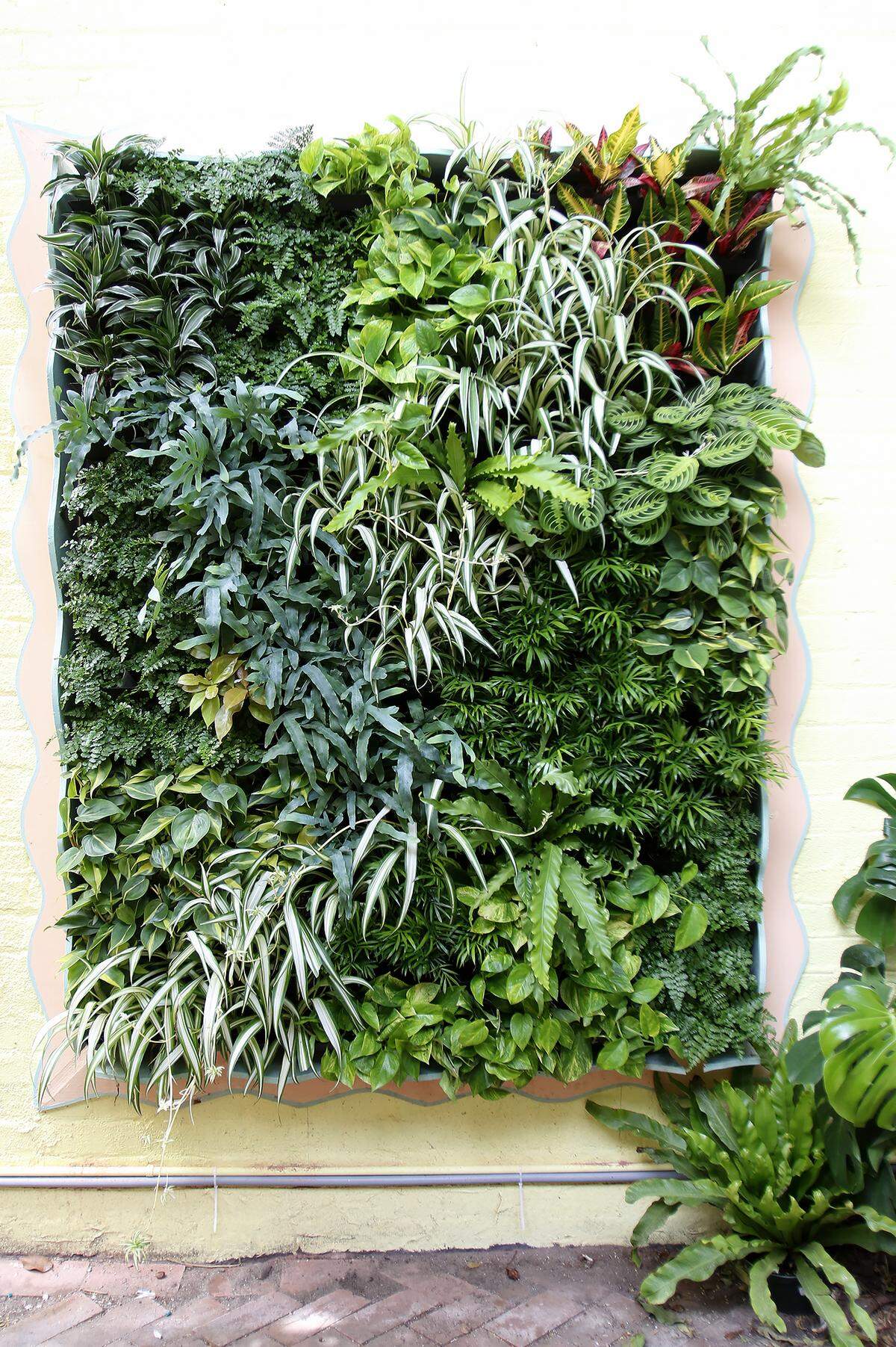 Understory Plant Shop opened in downtown San Luis Obispo, California as part of the owner Samantha Huntley’s interior plant design business Happy Plant Company.