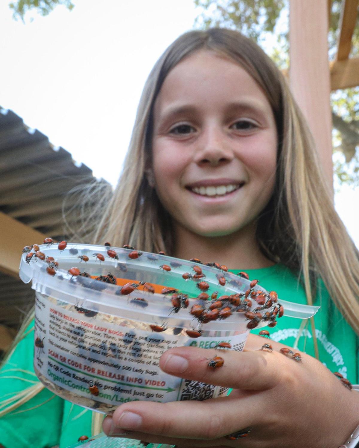 Fifth-grader Maddie Muhly releases a bunch of lady bugs in the garden at Santa Margarita Elementary School on May 22, 2024. Students also released painted lady butterflies.