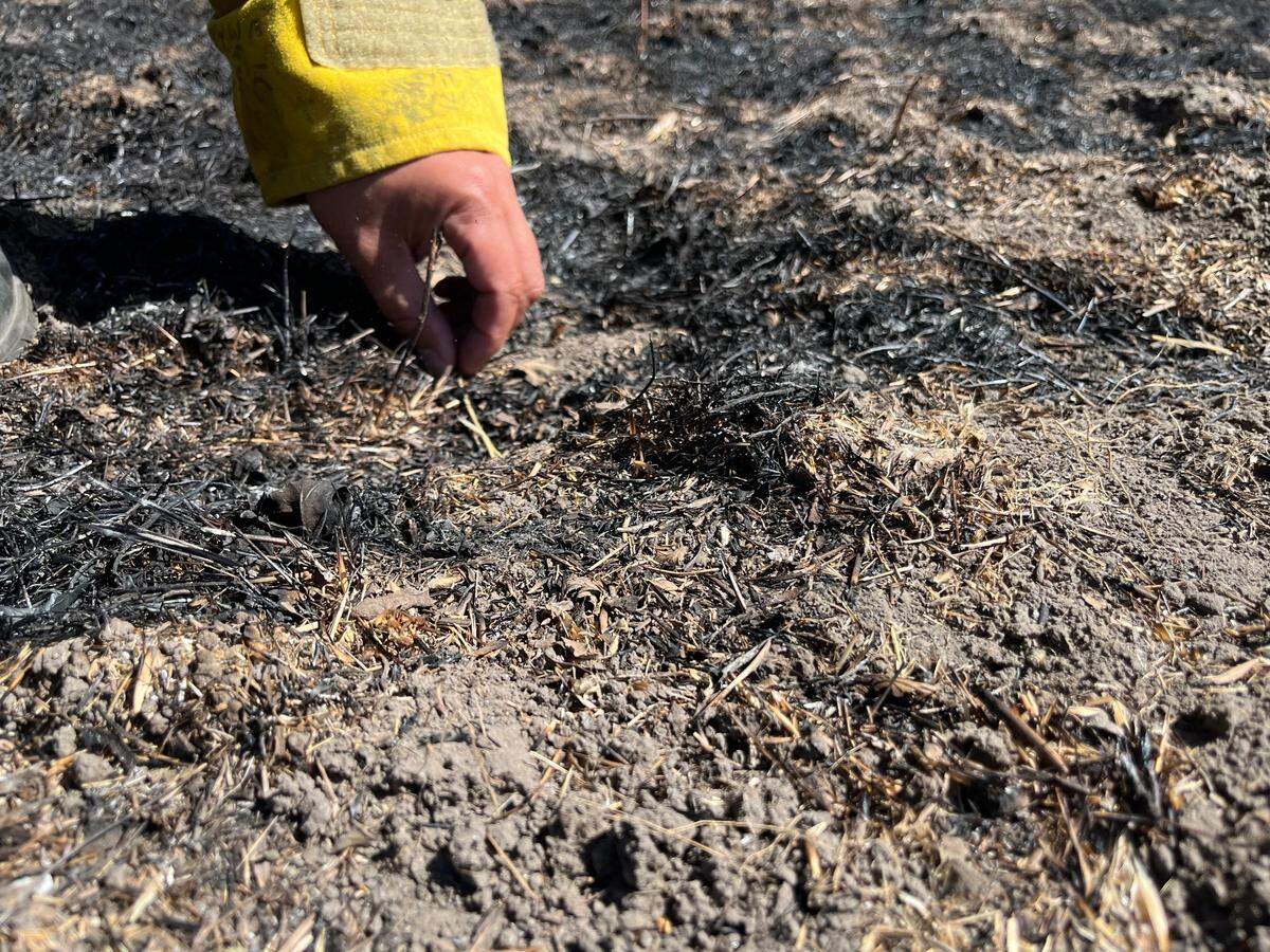 A small piece of a catalytic converter broke apart from a vehicle driving by Huasna Road in Arroyo Grande and started a wildfire, Cal Fire says. Investigators found the converter’s remains along the burnt grass.