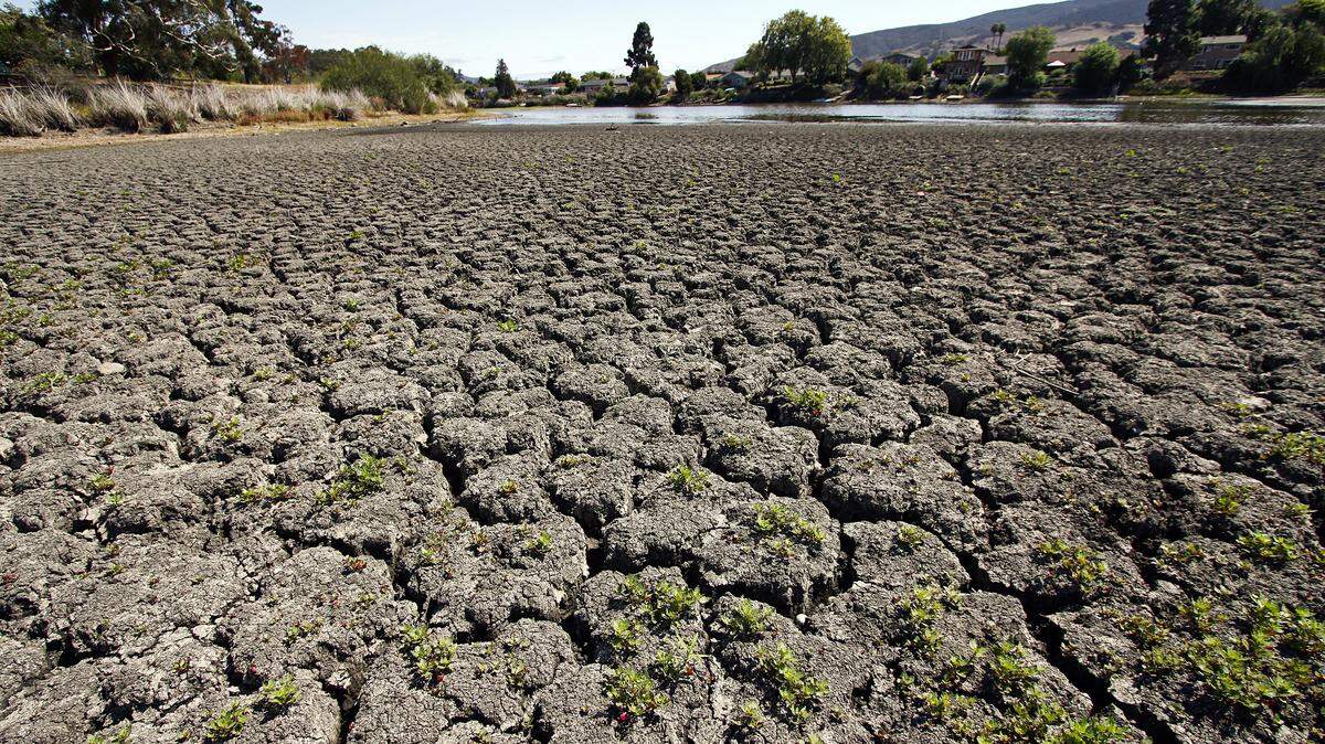 San Luis Obispo's Laguna Lake in July.